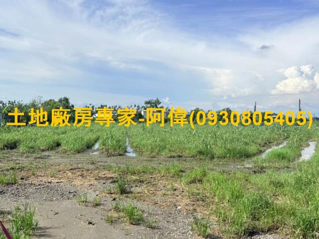 屏東市農地-1