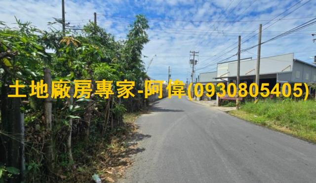 大社農地-1