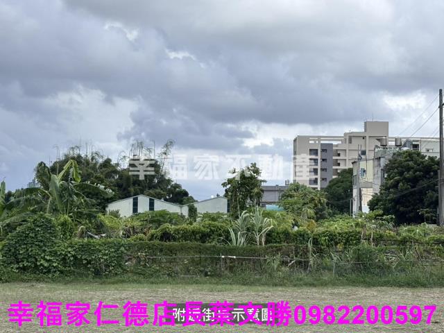 安定農地-3