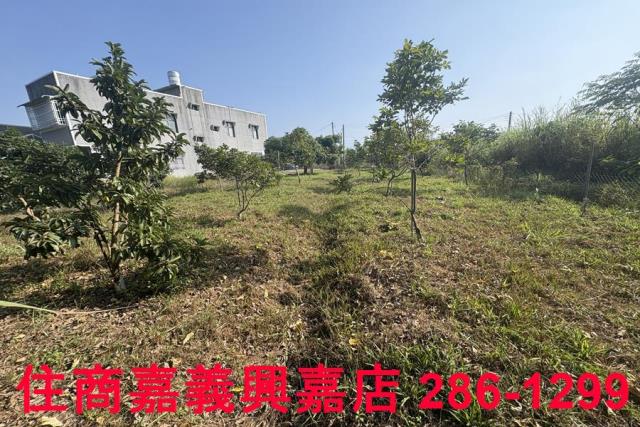 嘉義農地-1