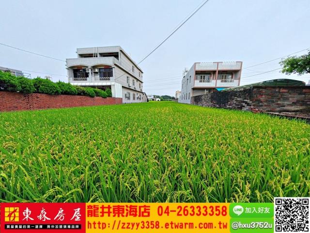 台中大肚農地-5