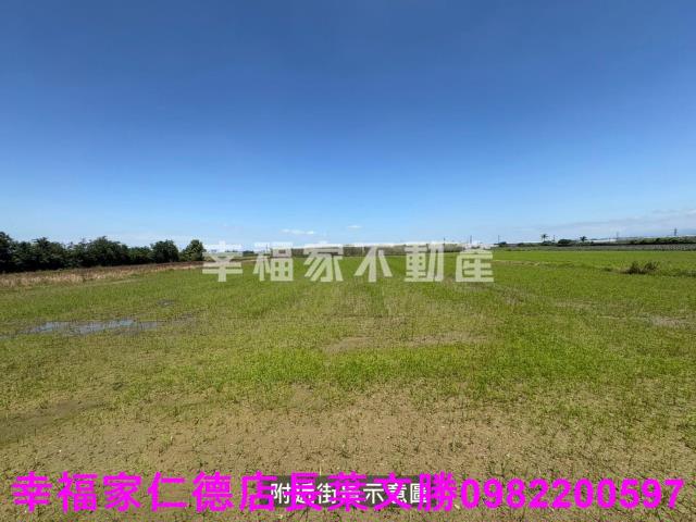 台南新市農地-8