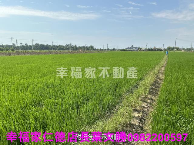 台南白河農地-7