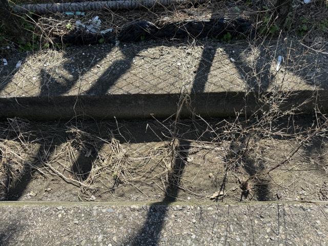 屏東內埔農地-6