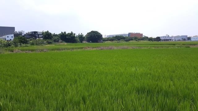 蘆竹農地-2