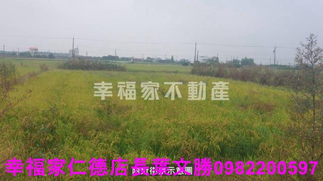 柳營農地-7