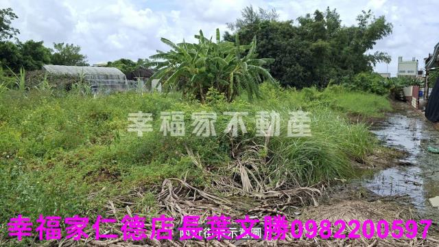 台南農地-9