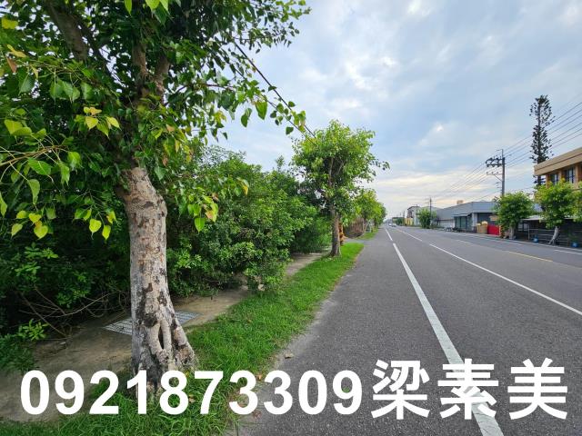 台南七股農地-1