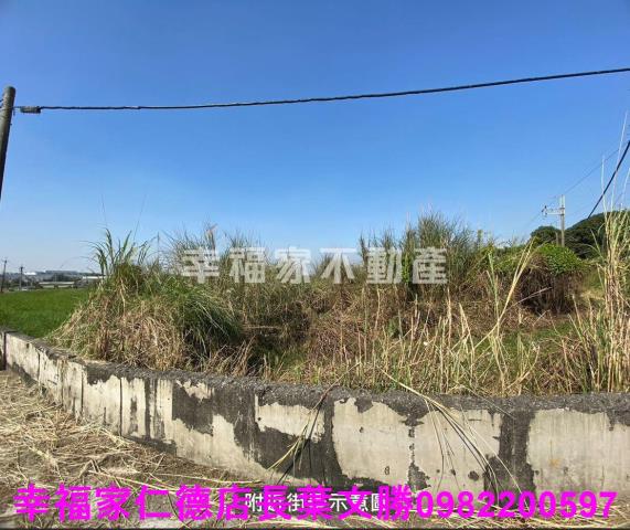 台南關廟農地-1