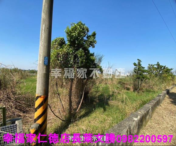 台南關廟農地-5