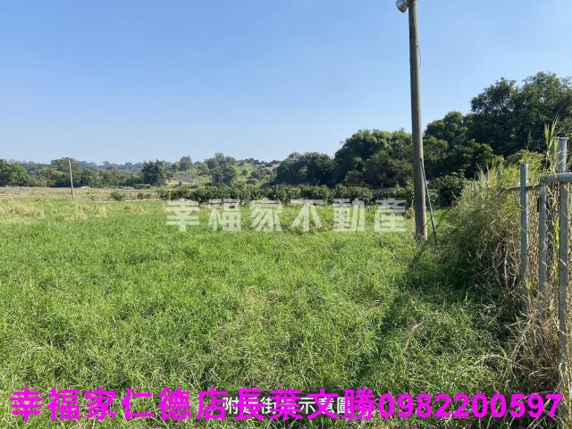 台南關廟農地-10