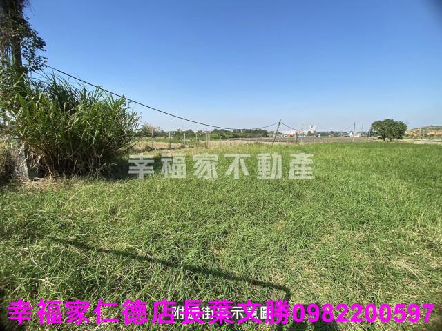 台南關廟農地-7