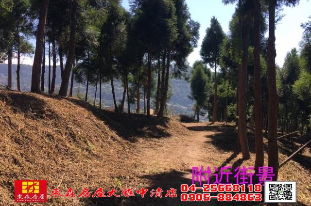 苗栗三義農地-1