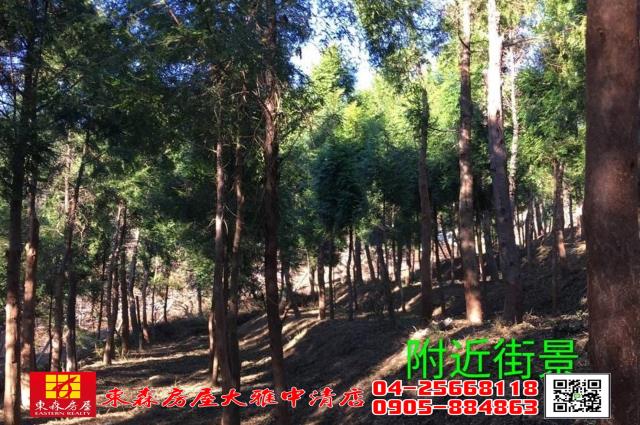 苗栗三義農地-4