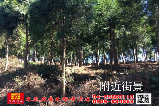 苗栗三義農地-6