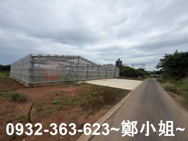 大園農地-2
