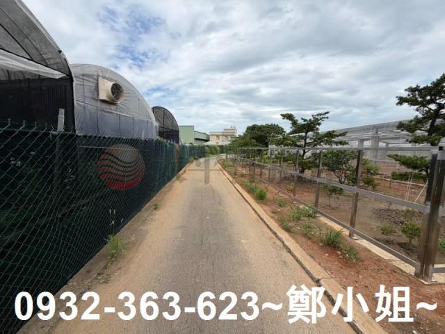 大園農地-3