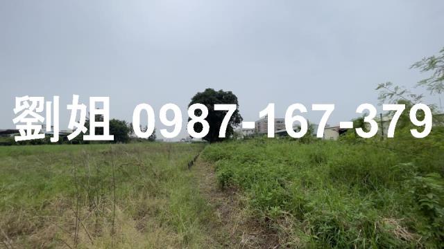 仁德農地-1