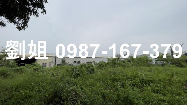 仁德農地-3