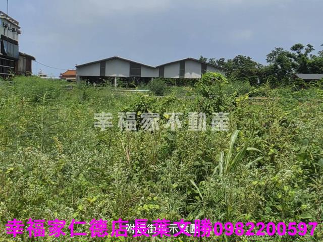 新營農地-13
