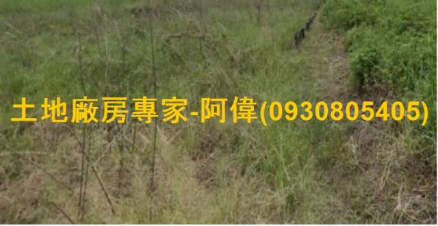 仁德農地-1