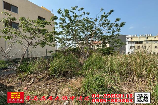 台中沙鹿建地-5