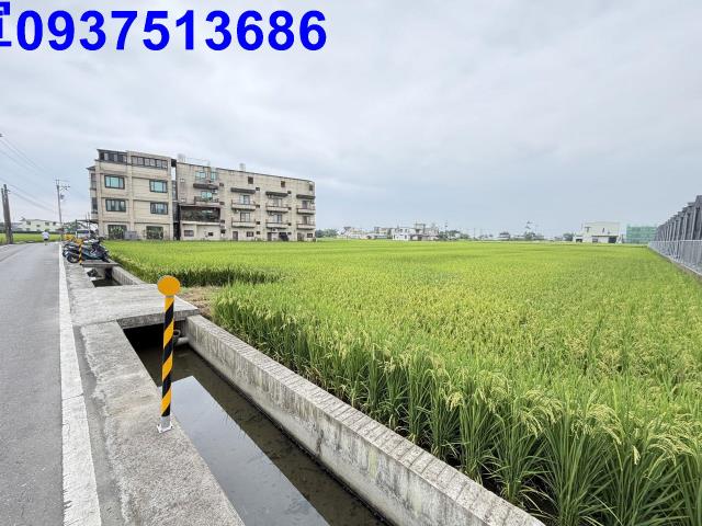 壯圍農地-5