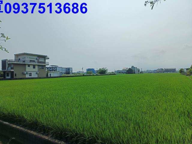 壯圍農地-1