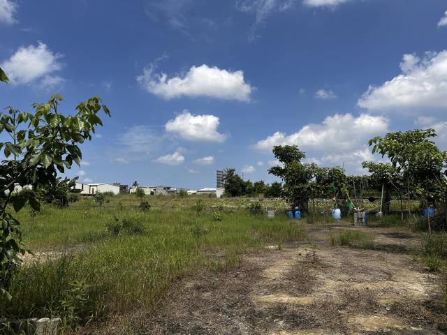 安南農地-9