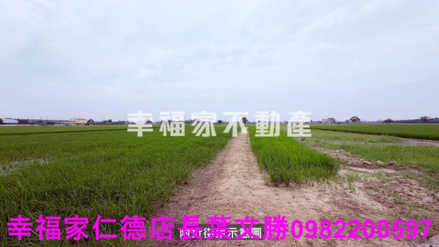 後壁農地-1