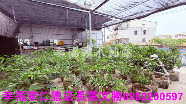 後壁農地-3