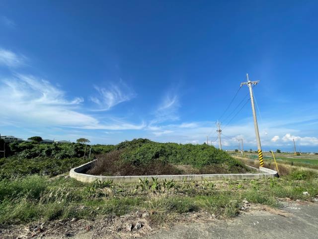 義竹農地-3