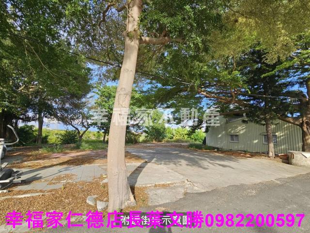 新市農地-11