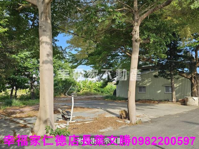 新市農地-13