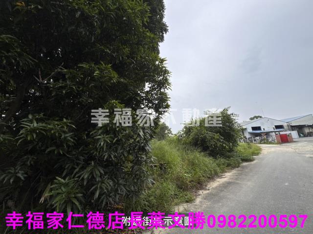 台南農地-3