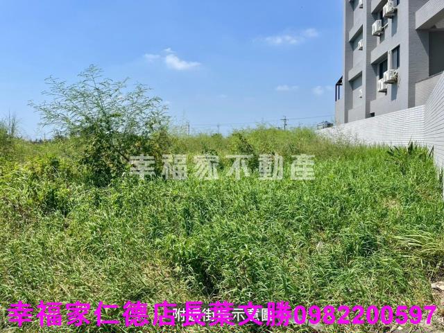 台南西港農地-5