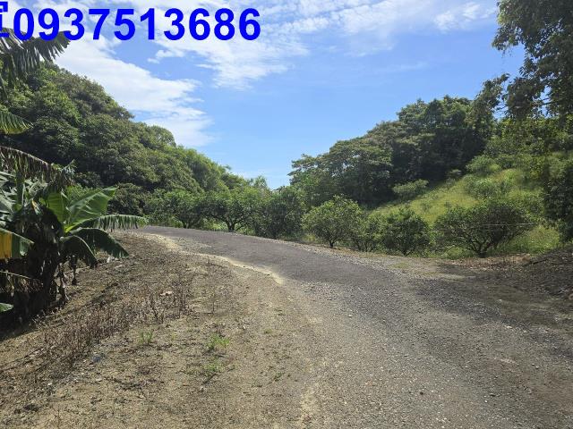 宜蘭礁溪農地-2