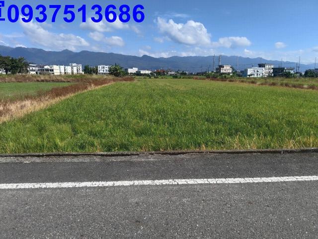 宜蘭壯圍農地-3