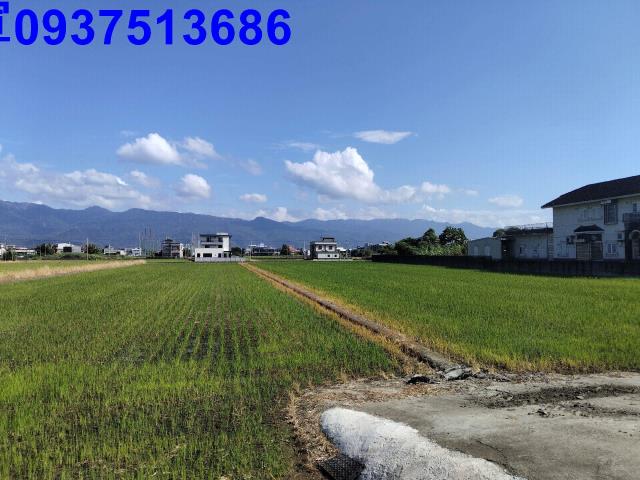 宜蘭壯圍農地-5