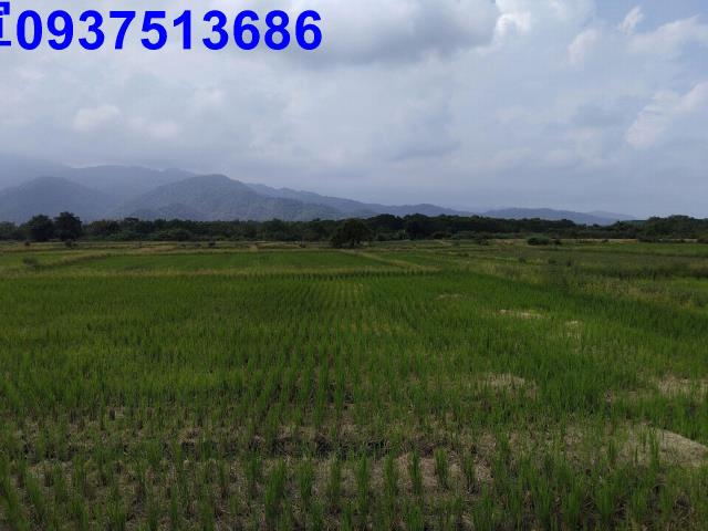宜蘭三星農地-9