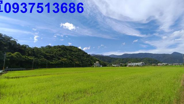 宜蘭礁溪農地-3