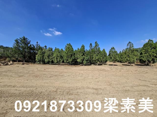 玉井農地-1