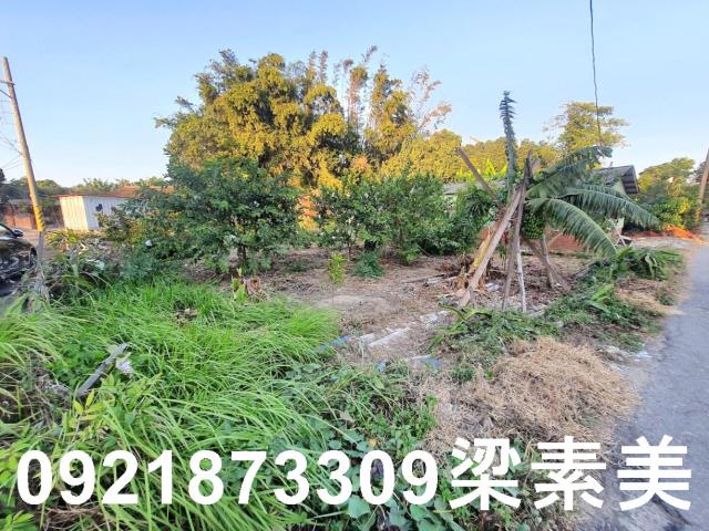 佳里建地-7