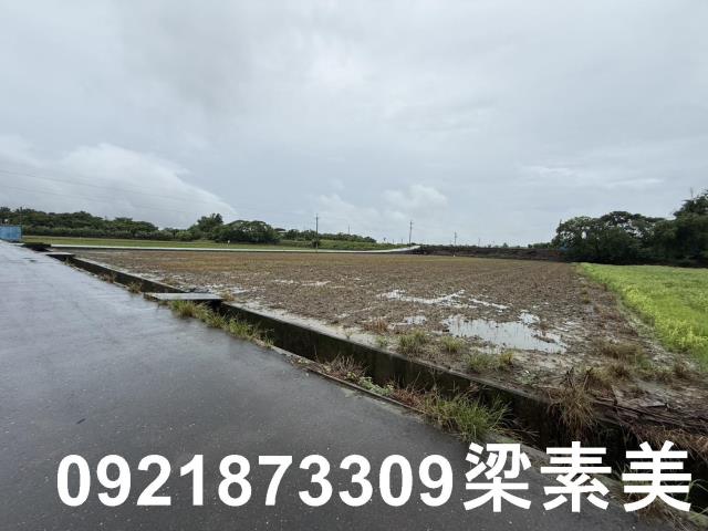 善化農地-1