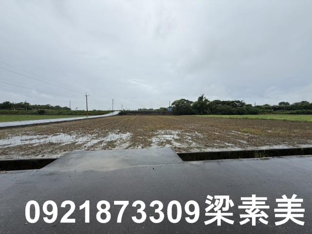善化農地-2