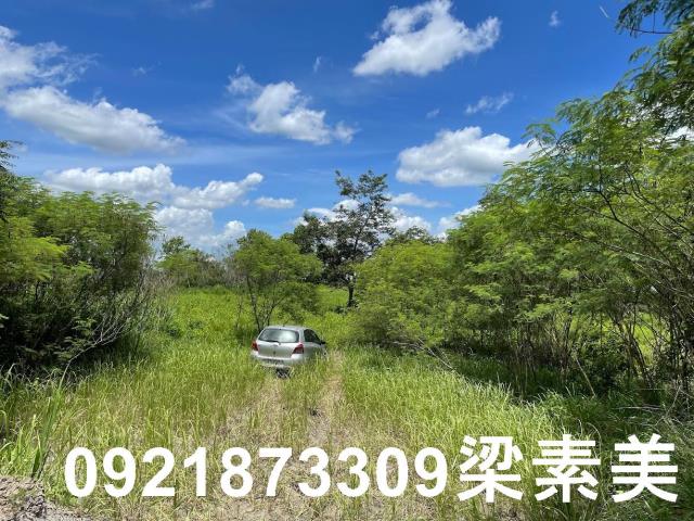 大內農地-3