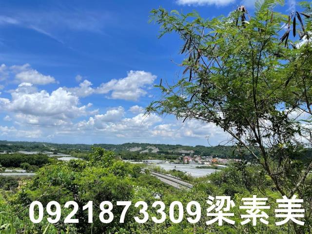 大內農地-4