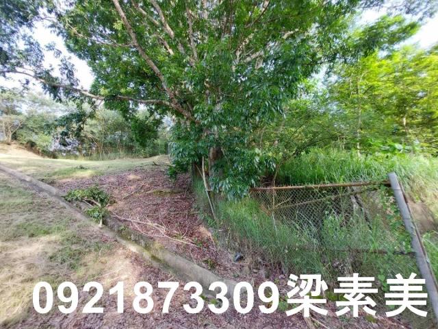 大內農地-9