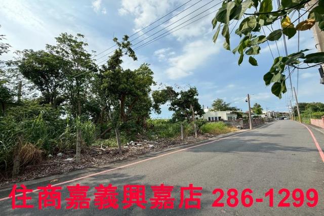 民雄農地-7