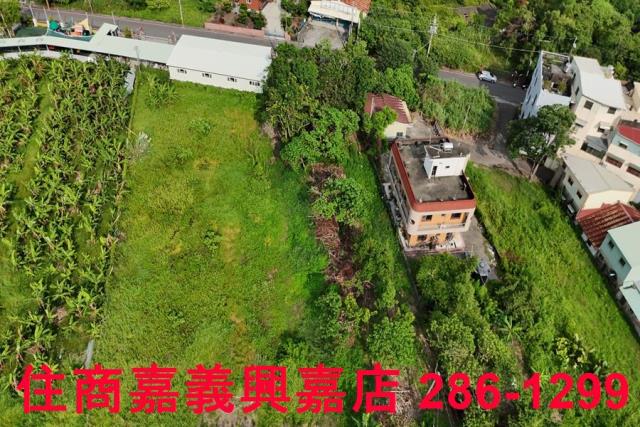 民雄農地-9